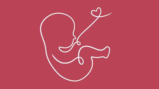 Escucha tu cuerpo: señales de fertilidad