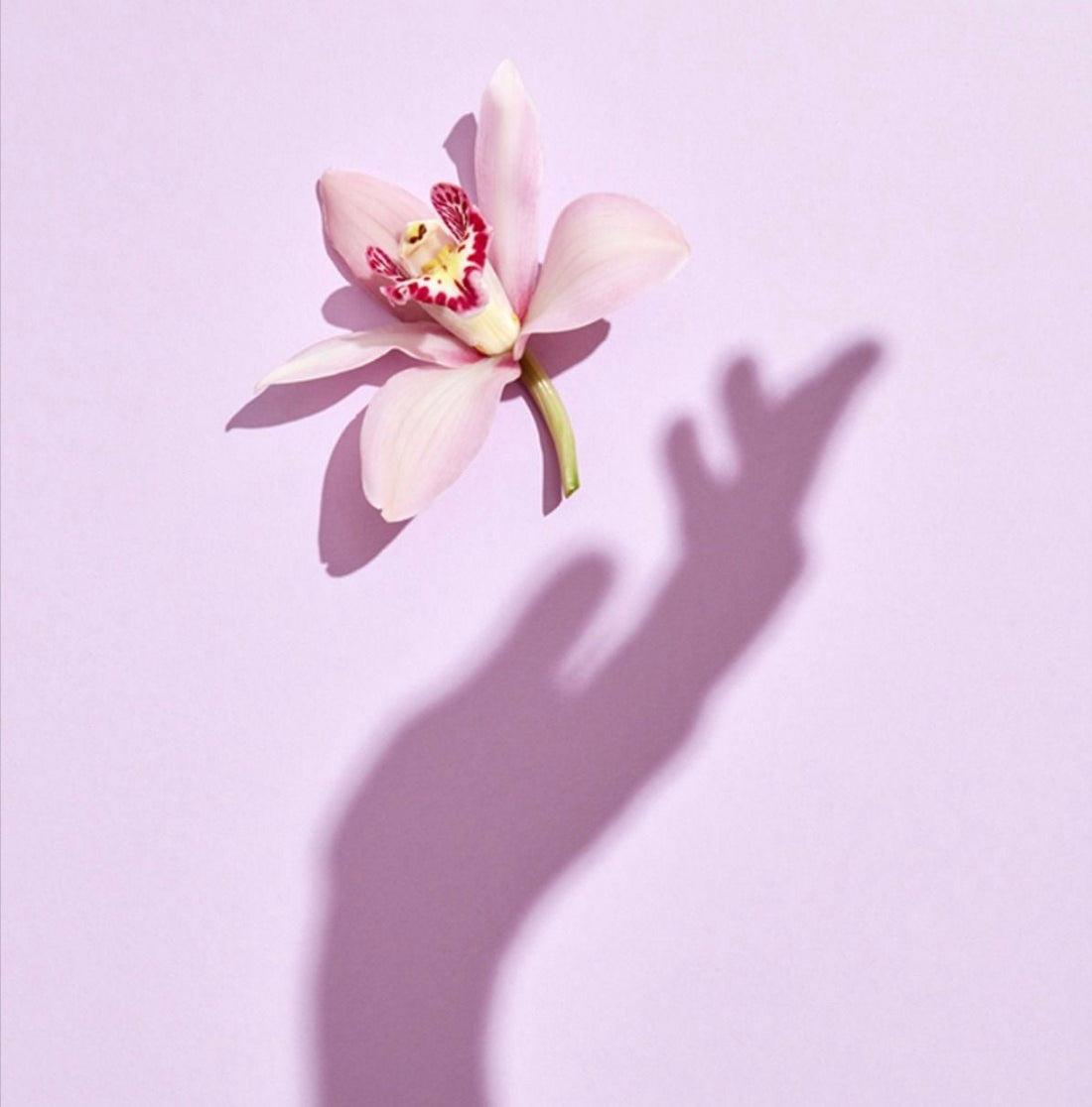 ¿Existe una epidemia de infertilidad?