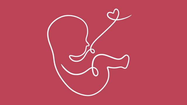 Escucha tu cuerpo: señales de fertilidad