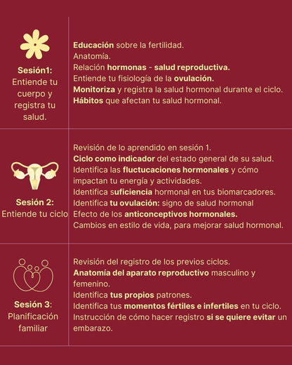1:1 Acompañamiento Fertilidad Natural.