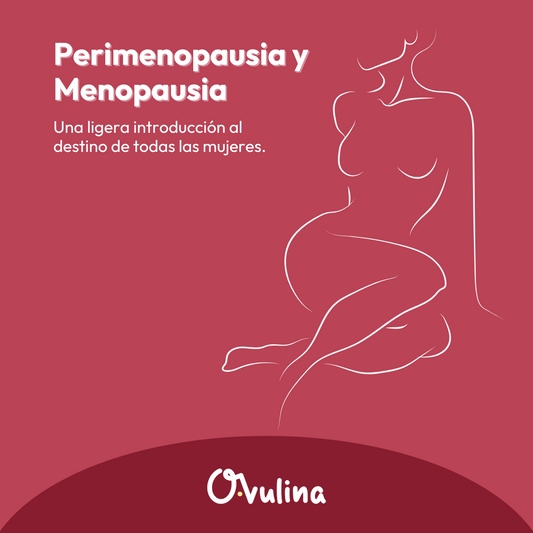 Ebook Introducción a la Perimenopausia & Menopausia